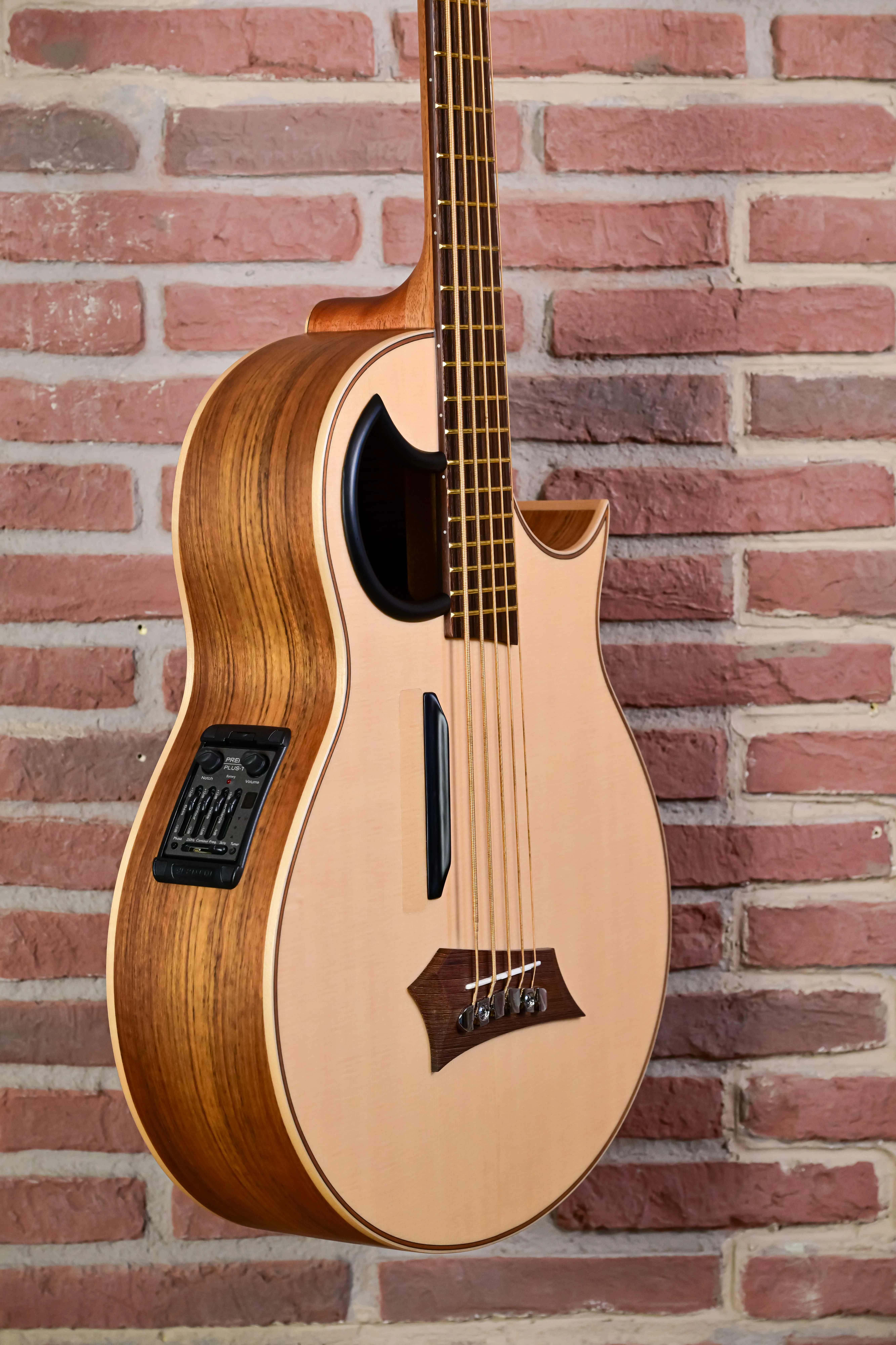 Alien 5 Natural 5-String Acoustic Bass Fretted (B-Stock)