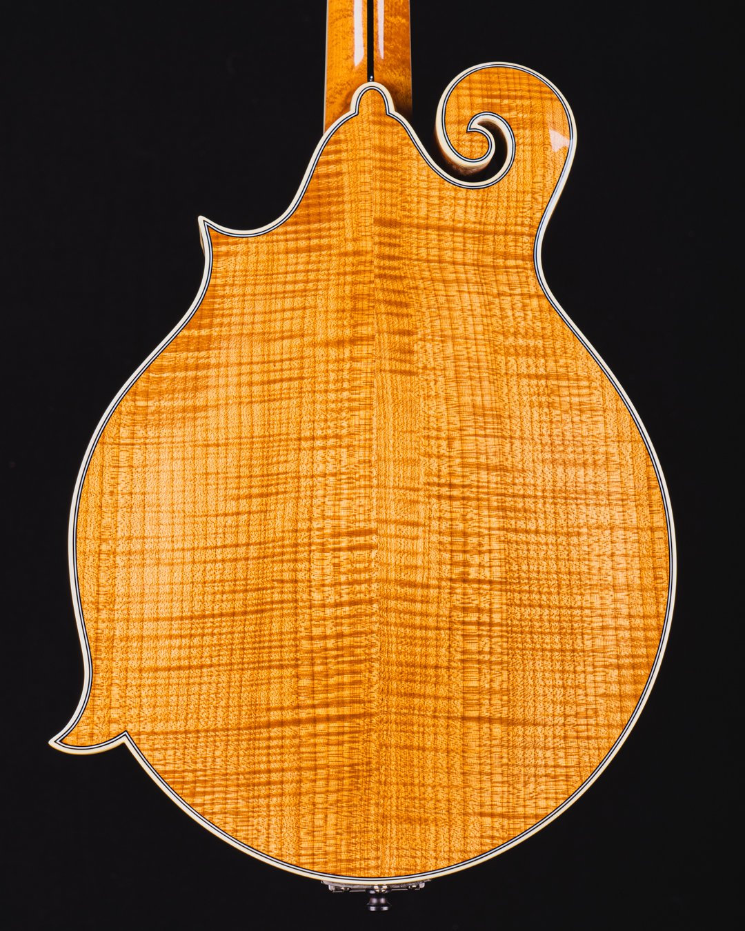 M5-F Mandolin