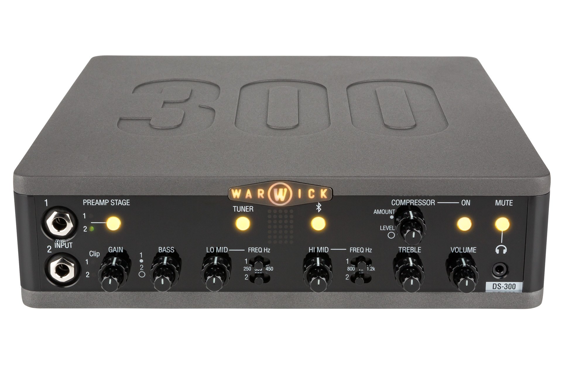 Stage Series DS 300 Double Stage Bass Amp Head mit USB-Interface