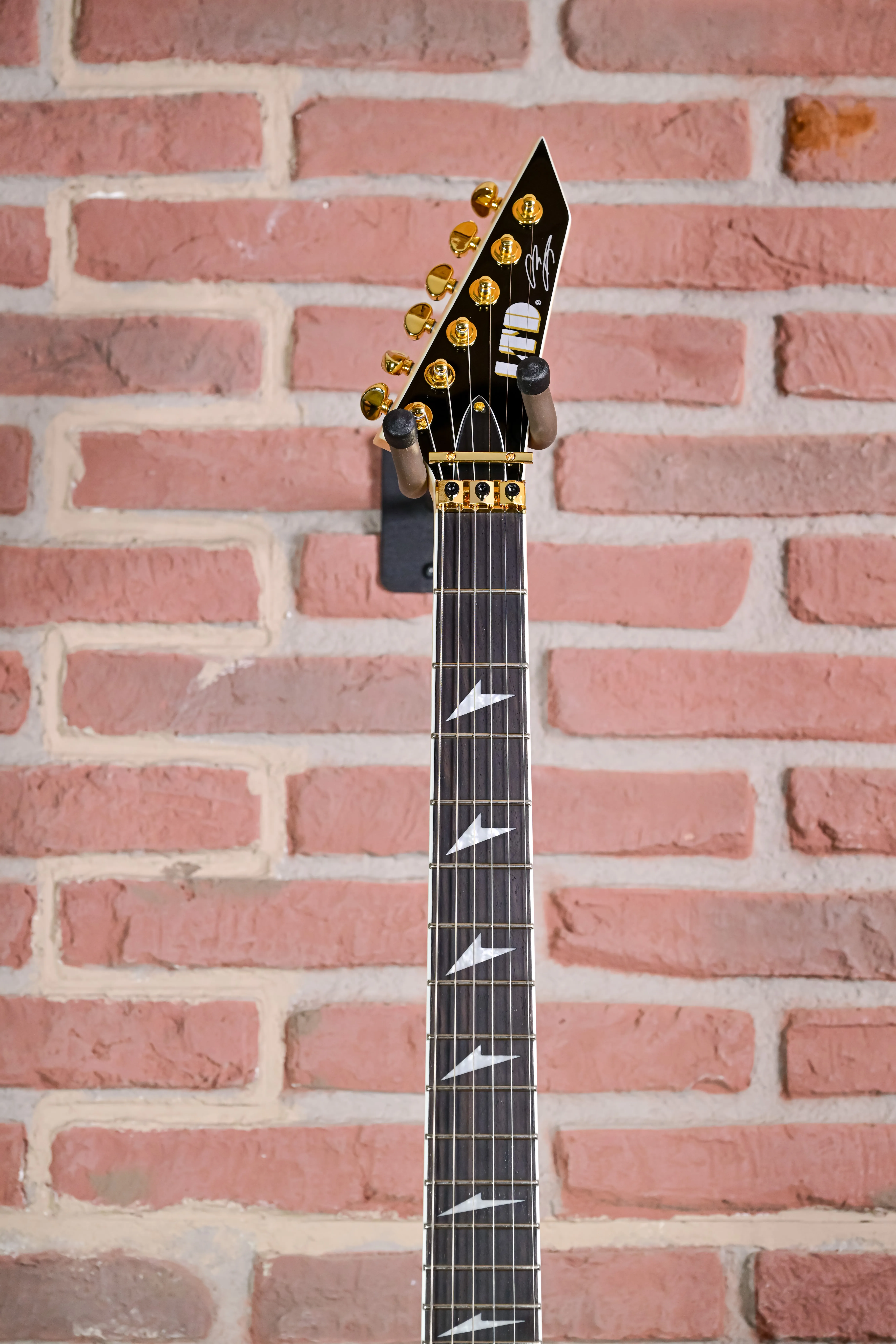 Alexi Laiho Arrowhead SE 20th Anniversary - Signature Guitar