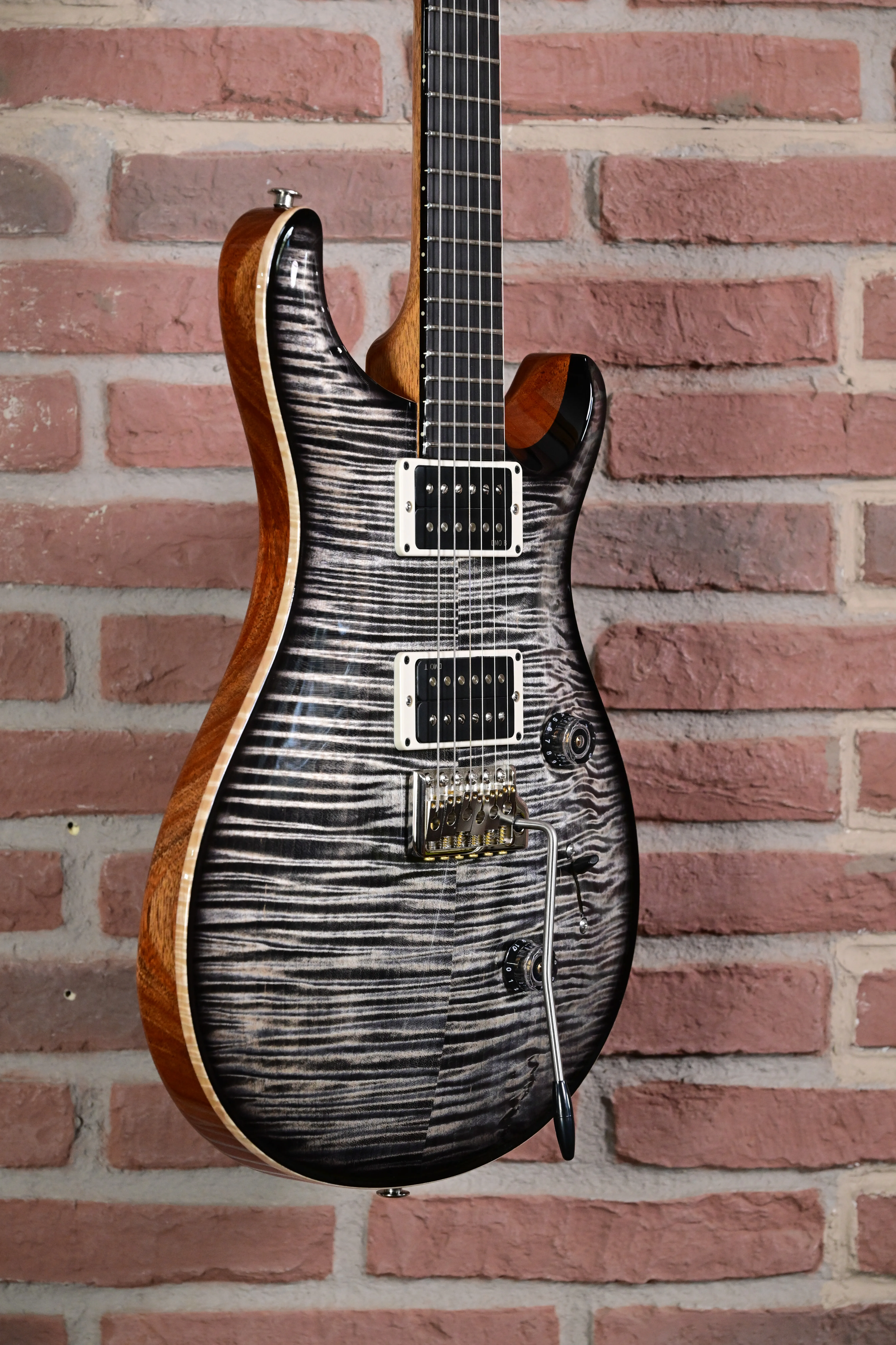 Custom 24 Birds of a Feather Limited Charcoal Microburst E-Gitarre