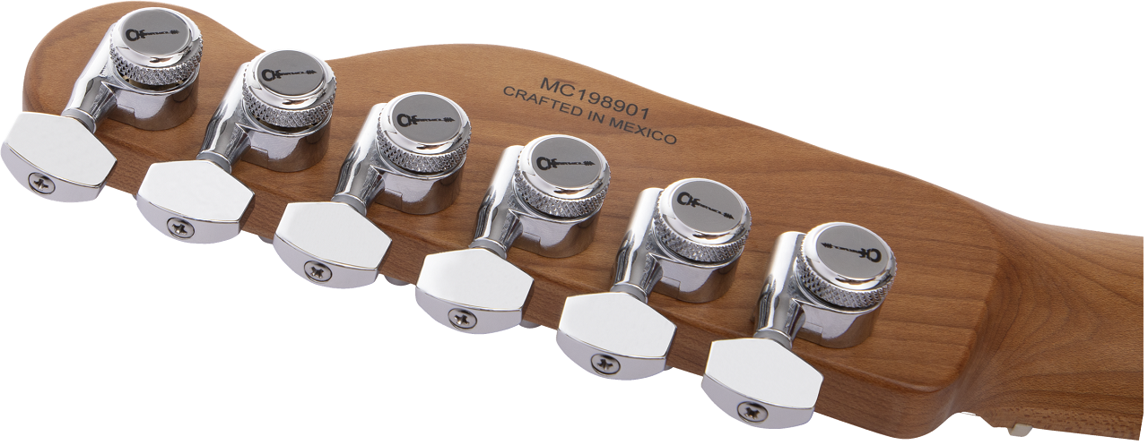 Pro-Mod So-Cal Style 2 24 HH 2PT CM Ash, Caramelized Maple Fingerboard, Natural Ash