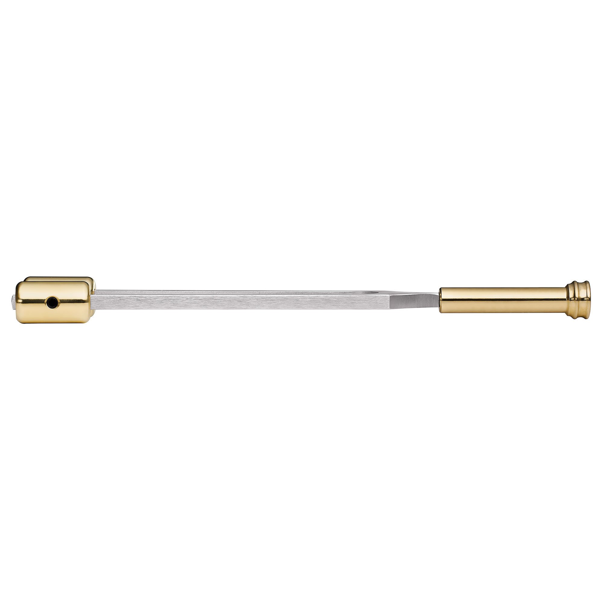 Grounding Therapy Tuning Fork, Meisterstimmgabel 64 Hz