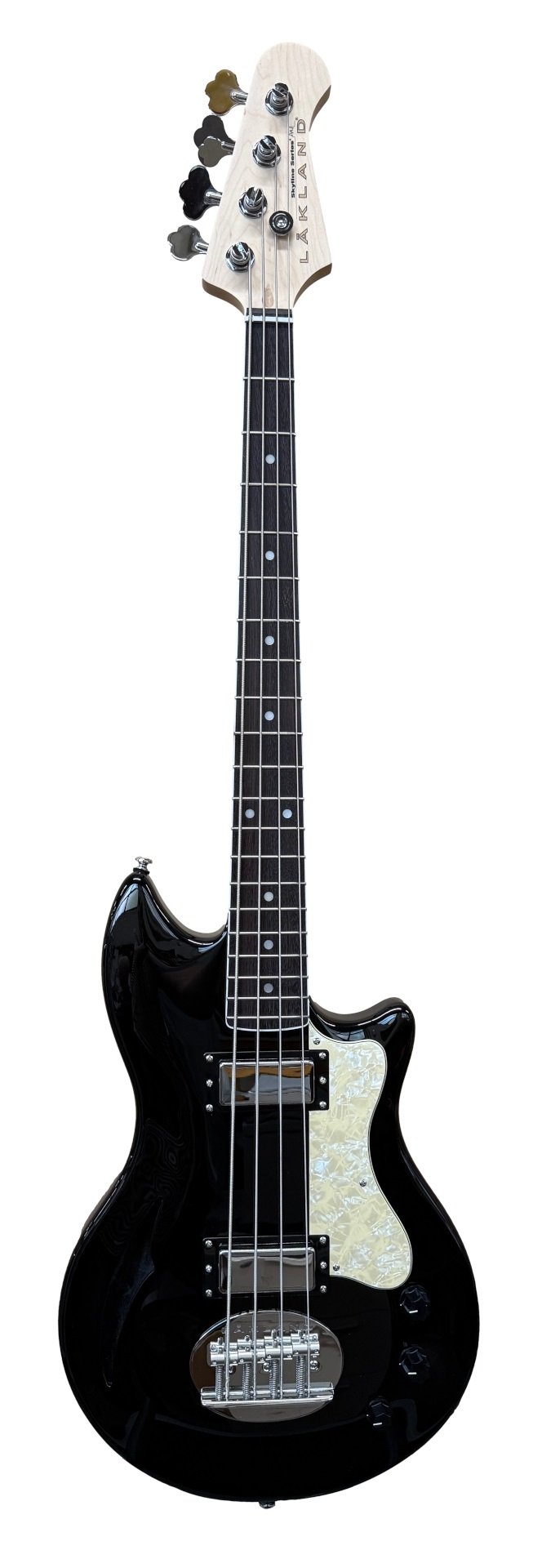 Skyline Hollowbody-30 Bass, 4-String - Black Gloss