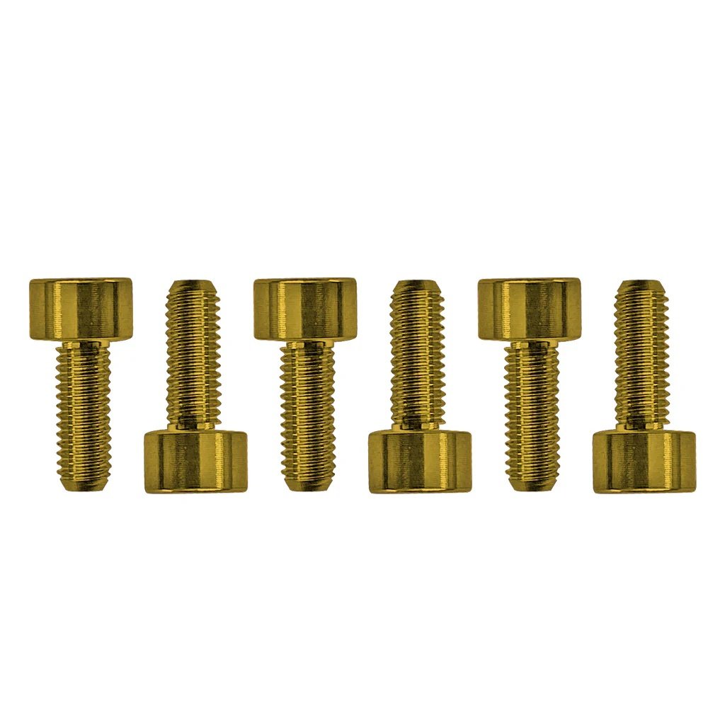 FROSMSGDP - Color Stainless Steel Saddle Mounting Screws (6 pcs), Gold