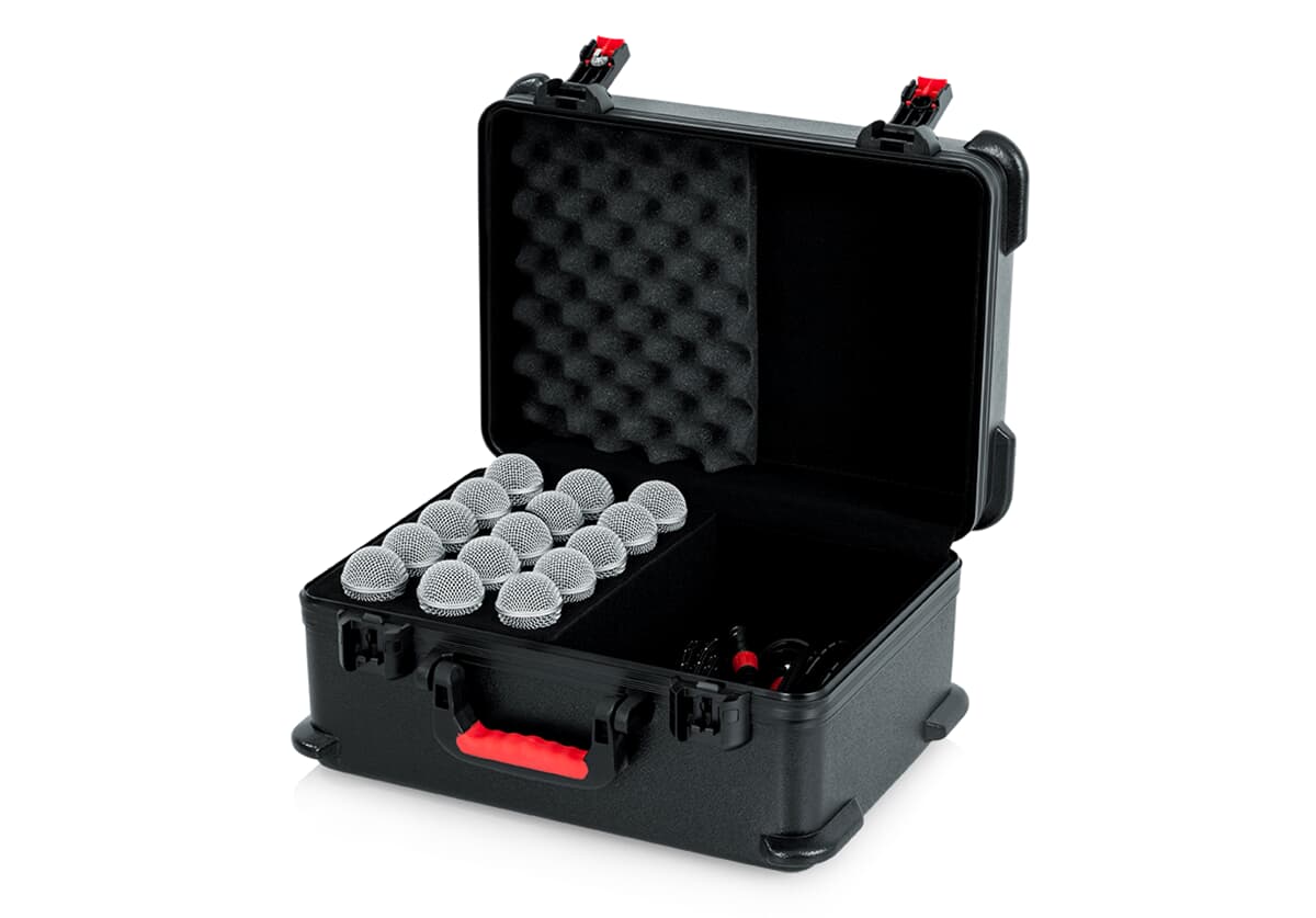 GTSA-MIC15