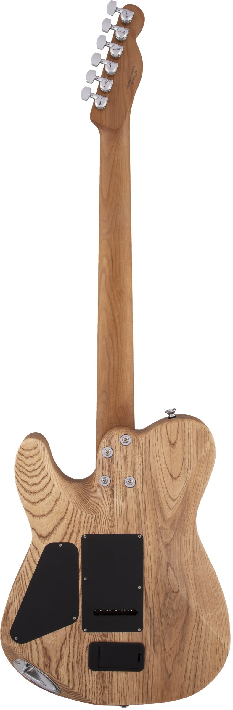 Pro-Mod So-Cal Style 2 24 HH 2PT CM Ash, Caramelized Maple Fingerboard, Natural Ash