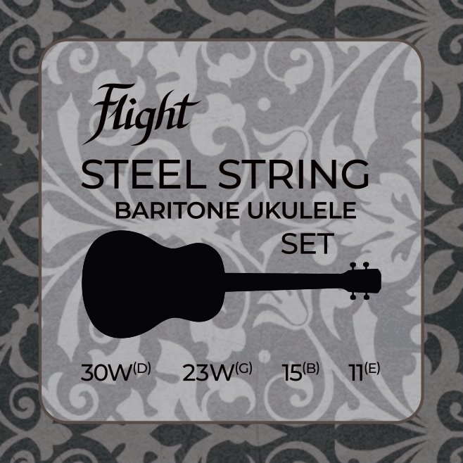 FBSS-200 Baritone Steel Strings