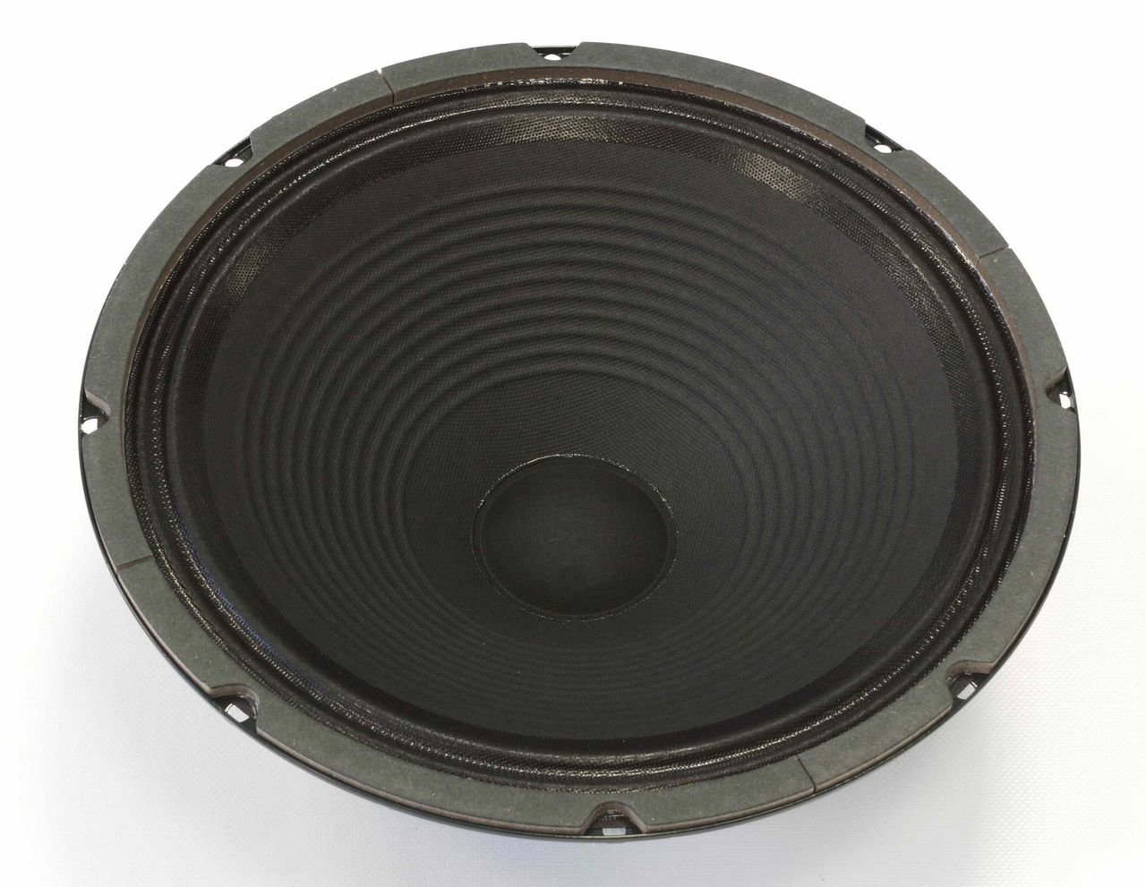 CH12/70 12" 70W