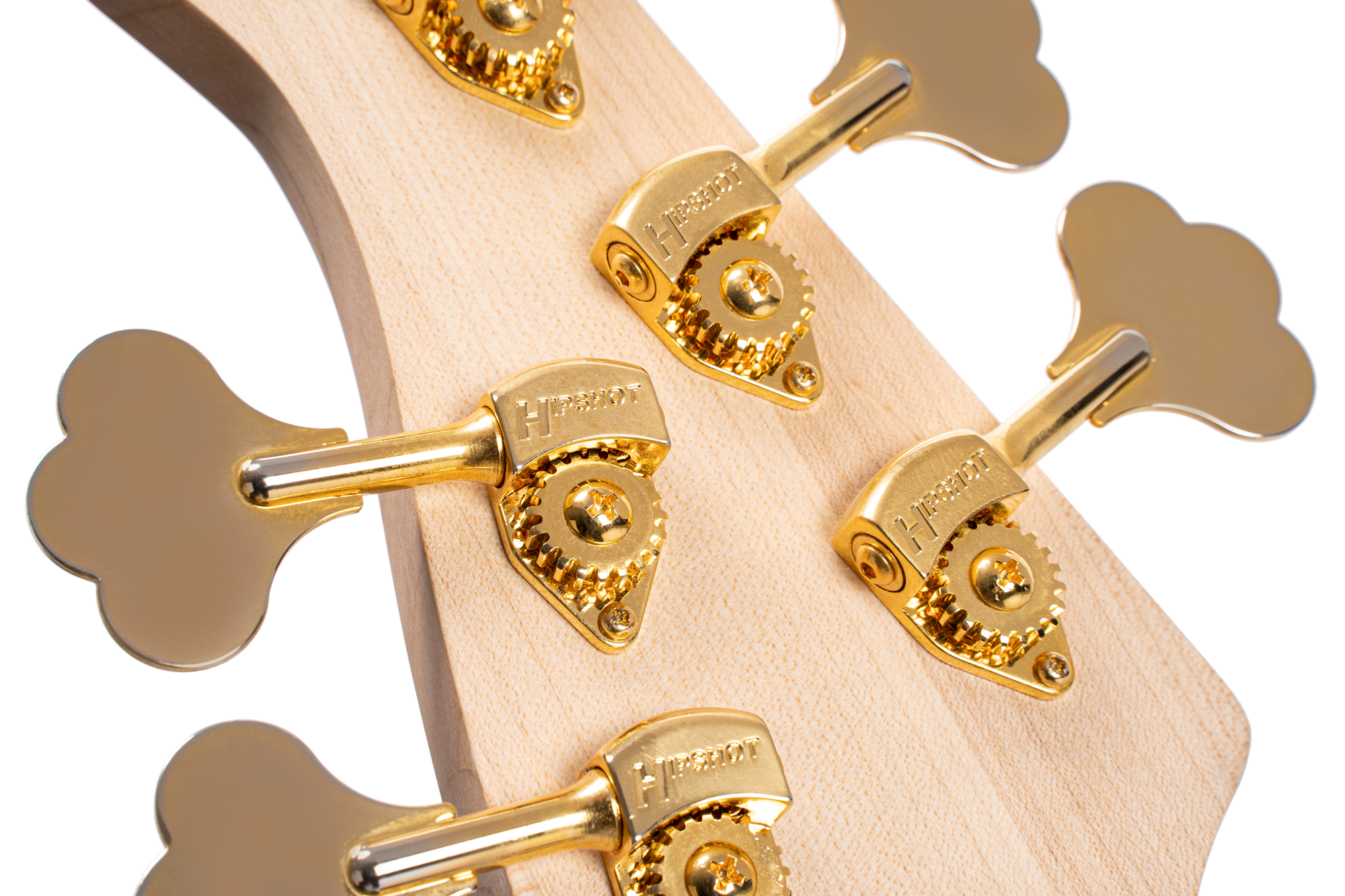 Rithimic 5 Jeff Berlin Signature Bass Natural