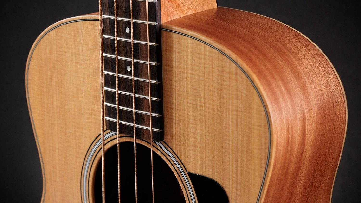 GS Mini-e Bass