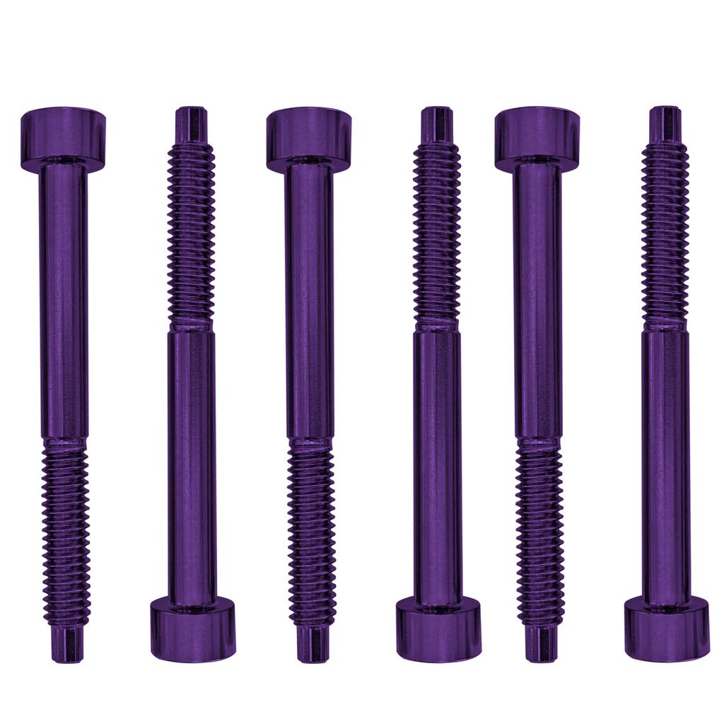 FROSLSPLP Stainless Steel String Lock Screws (6 pcs), Purple