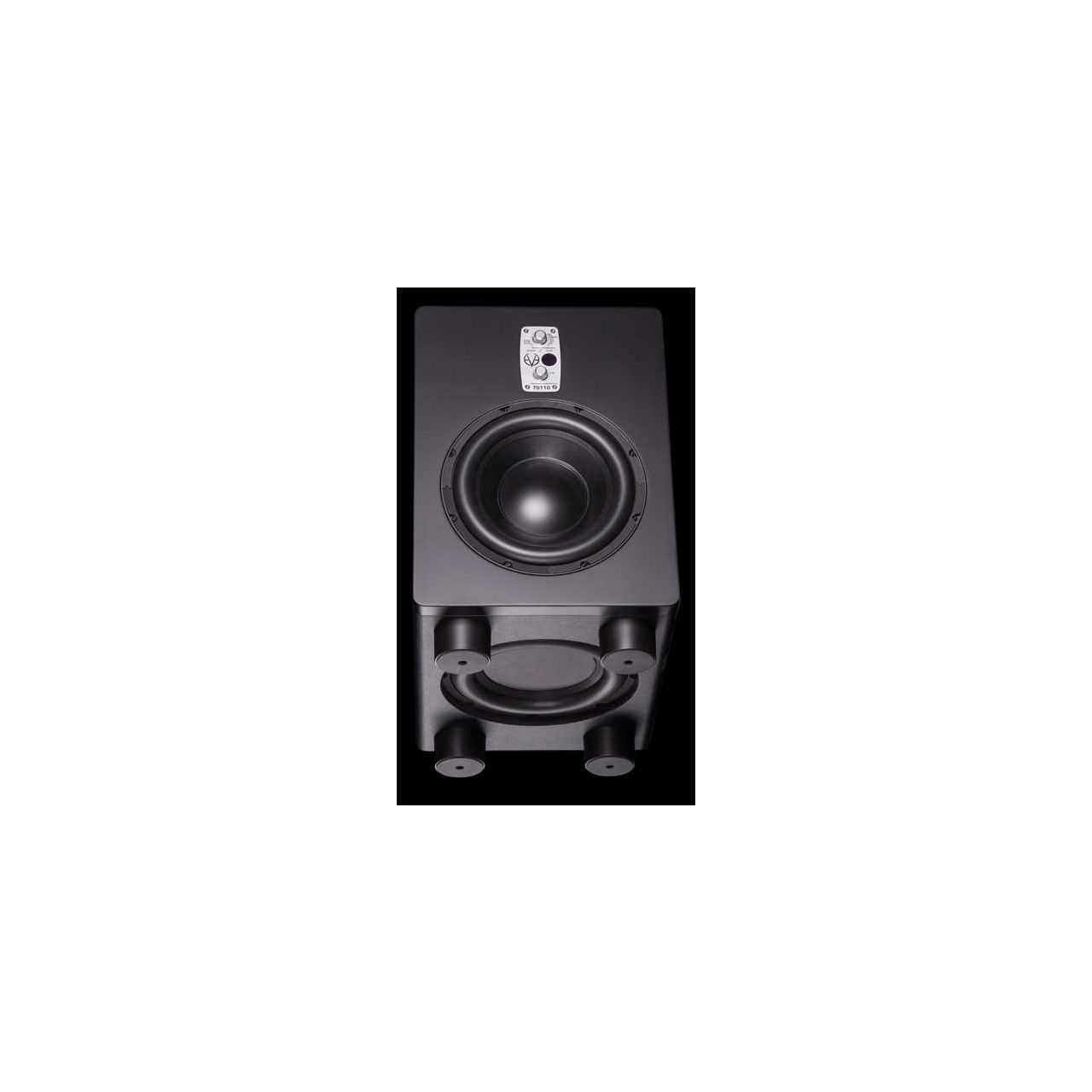 TS110 - 10" Subwoofer