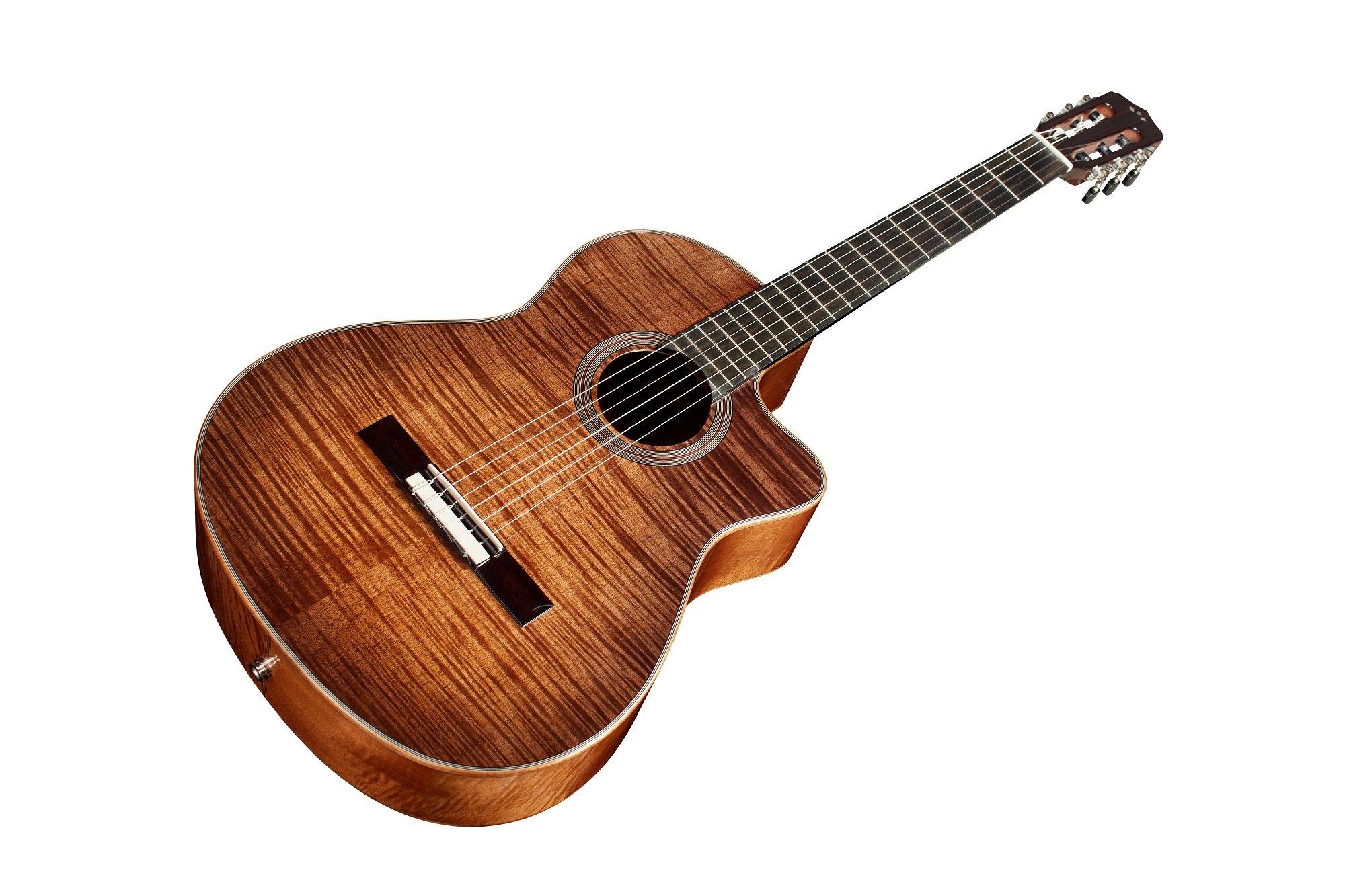 Fusion 12 Cinnamon Burst
