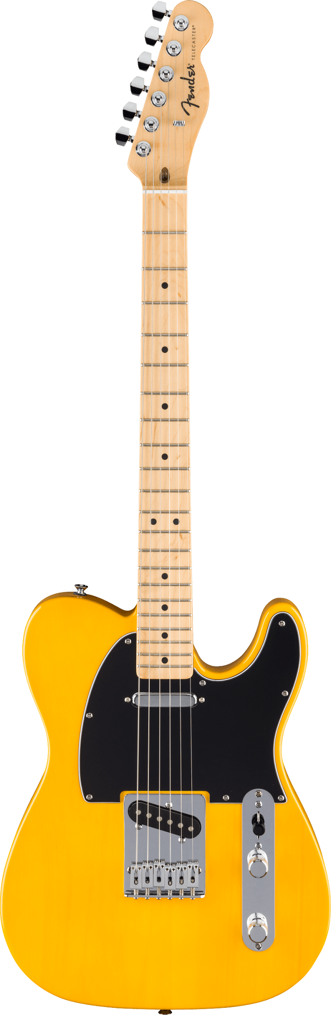 Standard Telecaster Maple Fingerboard Butterscotch Blonde
