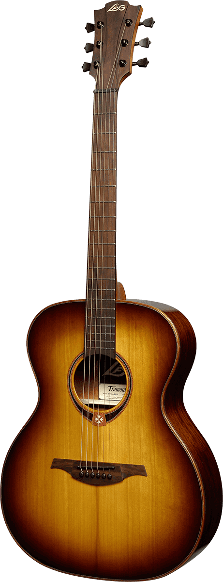T118A Brown Burst