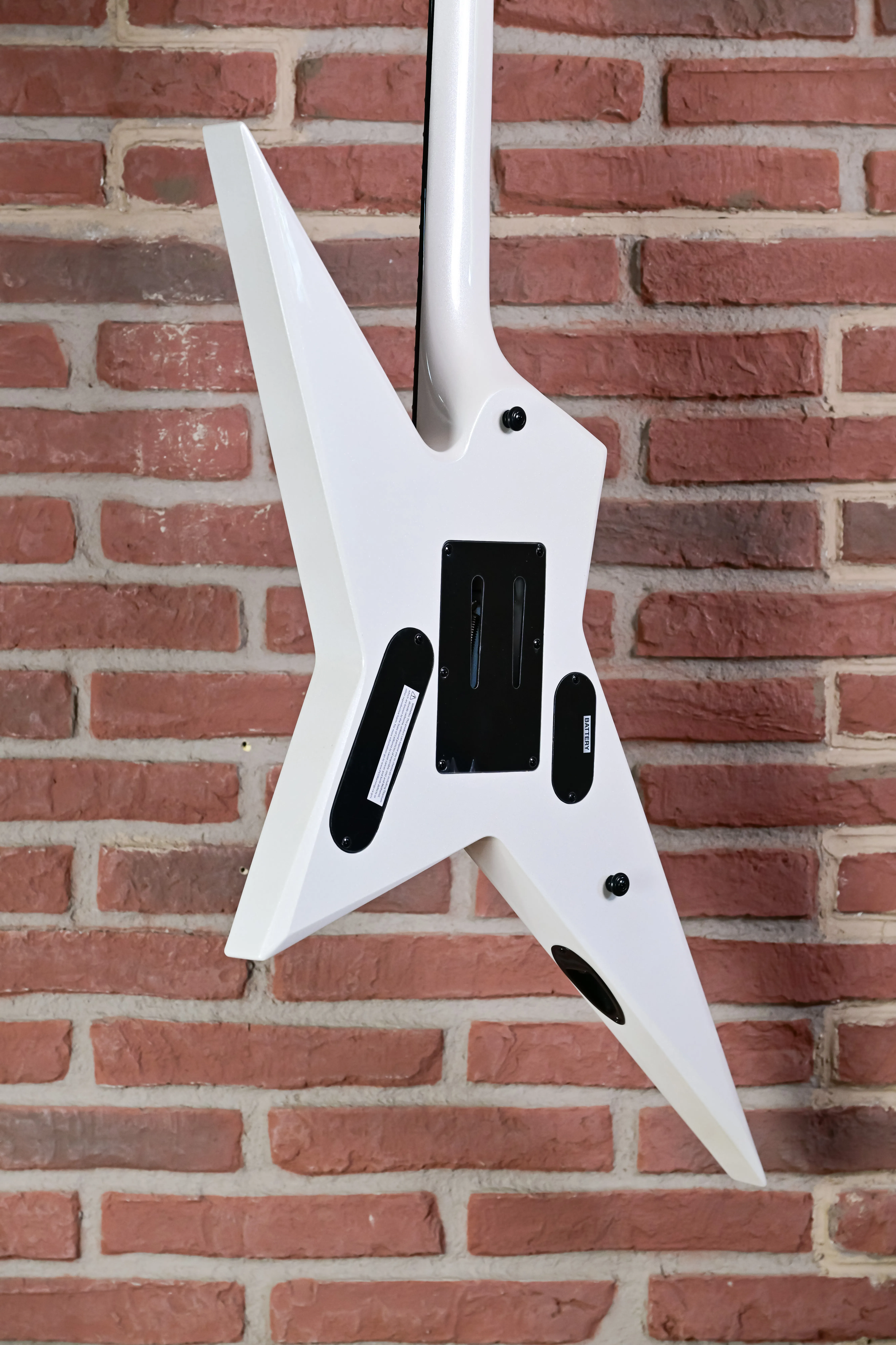 RS-1000 Pearl White E-Gitarre