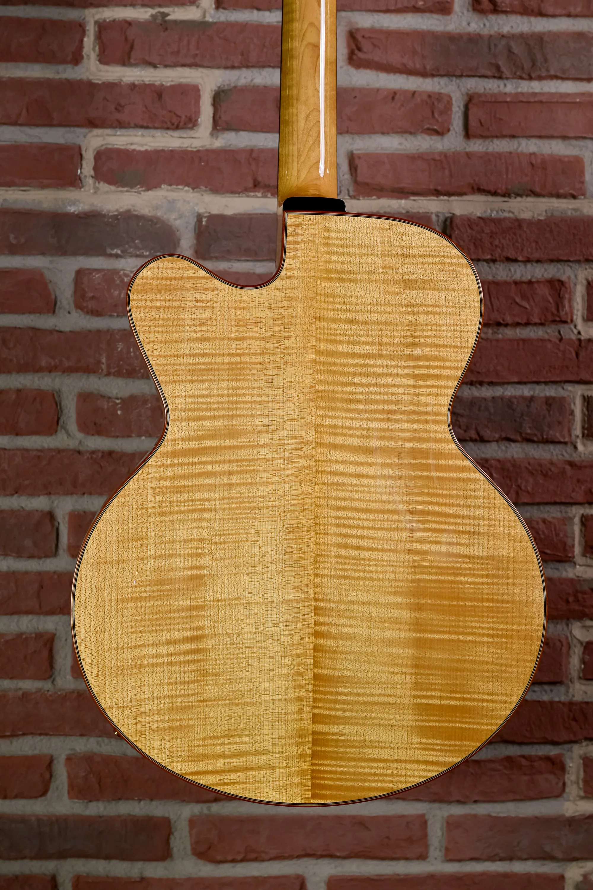 AR880CE-BD Archtop-Gitarre