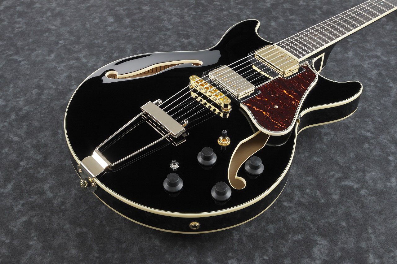 AMH90-Black Hollowbody E-Gitarre