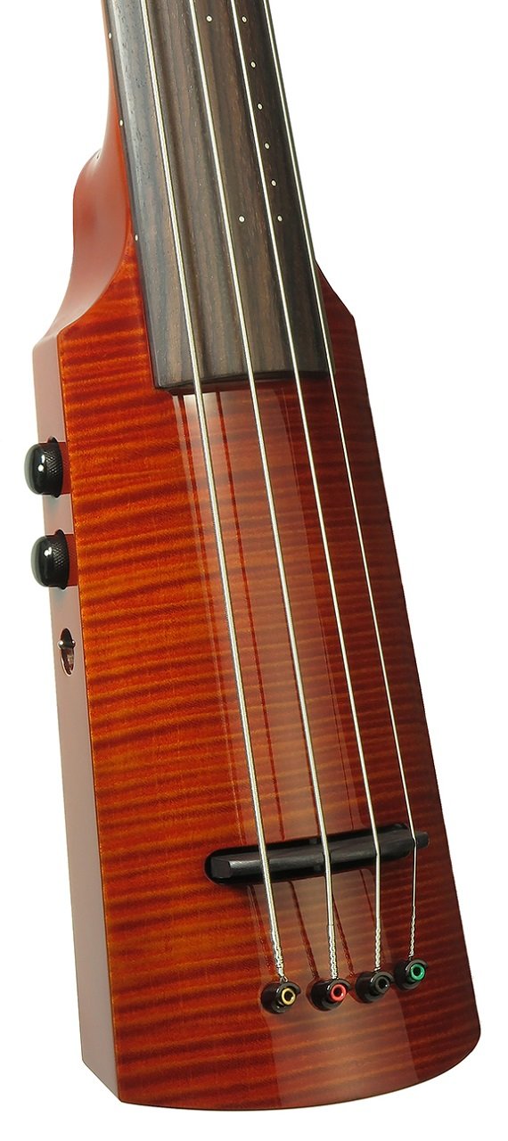 WAV4c-OB-AB Omnibass in Amberburst