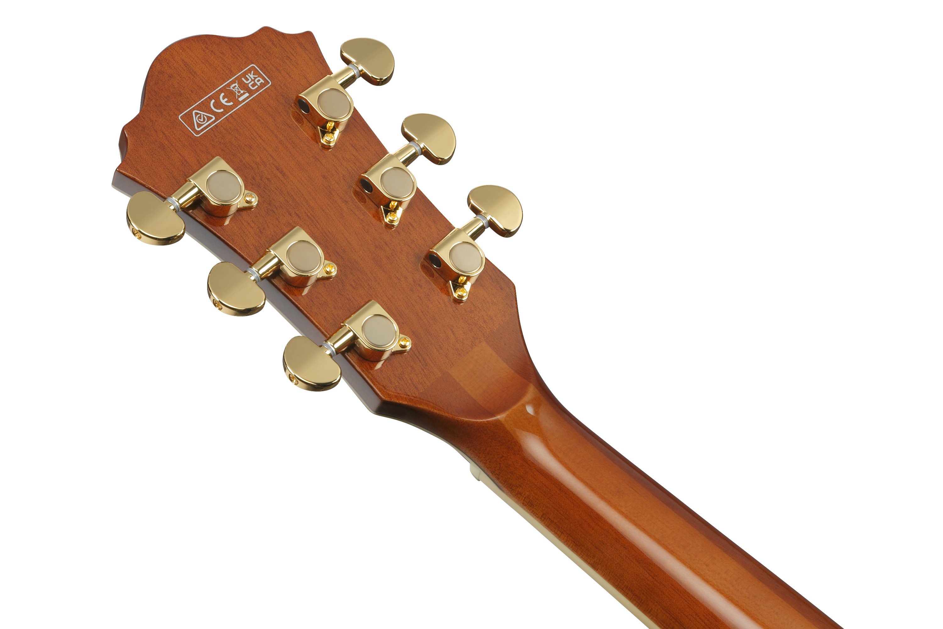 AG95MG-DA Artcore Hollowbody  