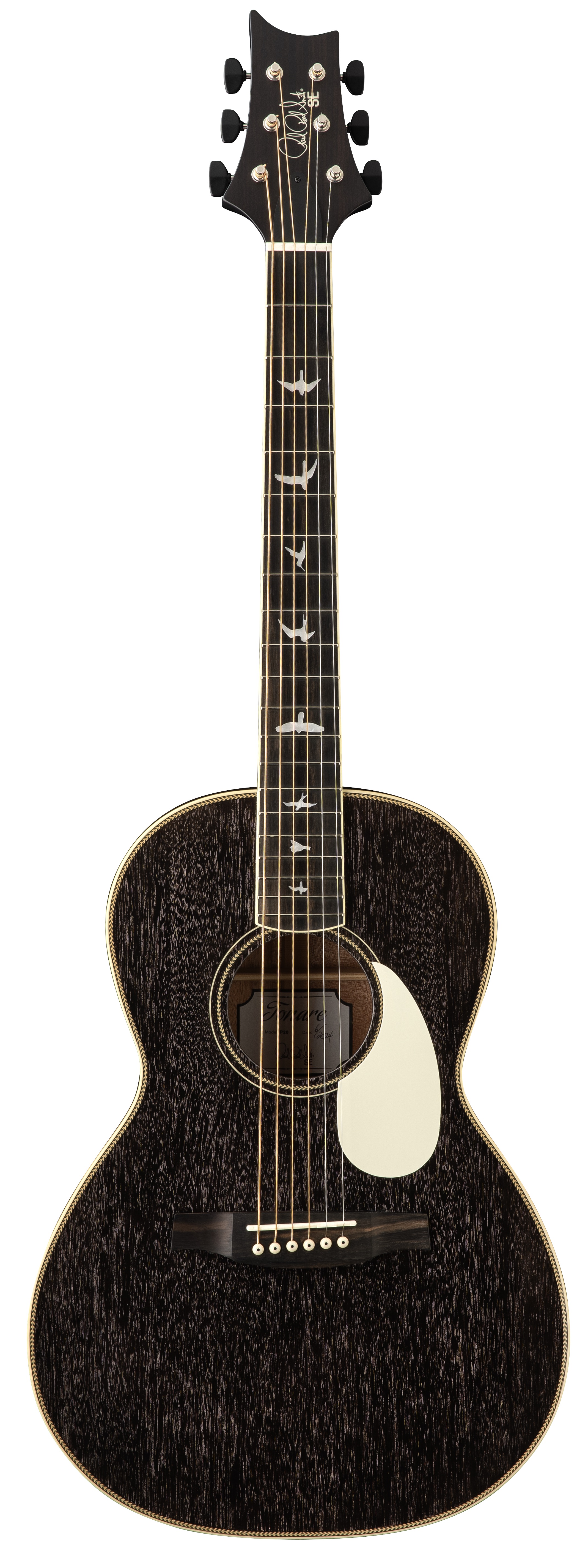 SE P20E Parlor Acoustic Black Dog Hair