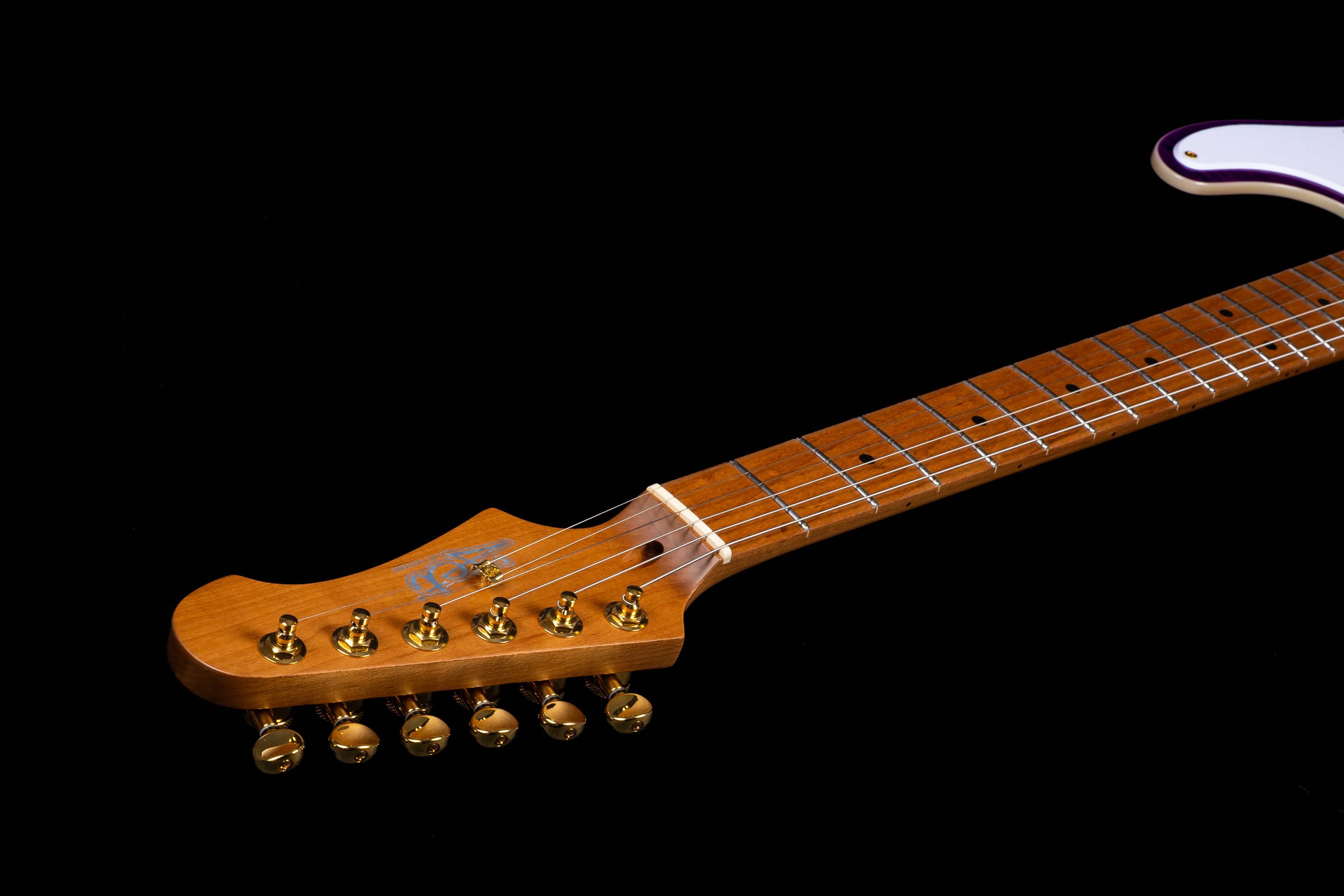 JT-600 PP G E-Gitarre  