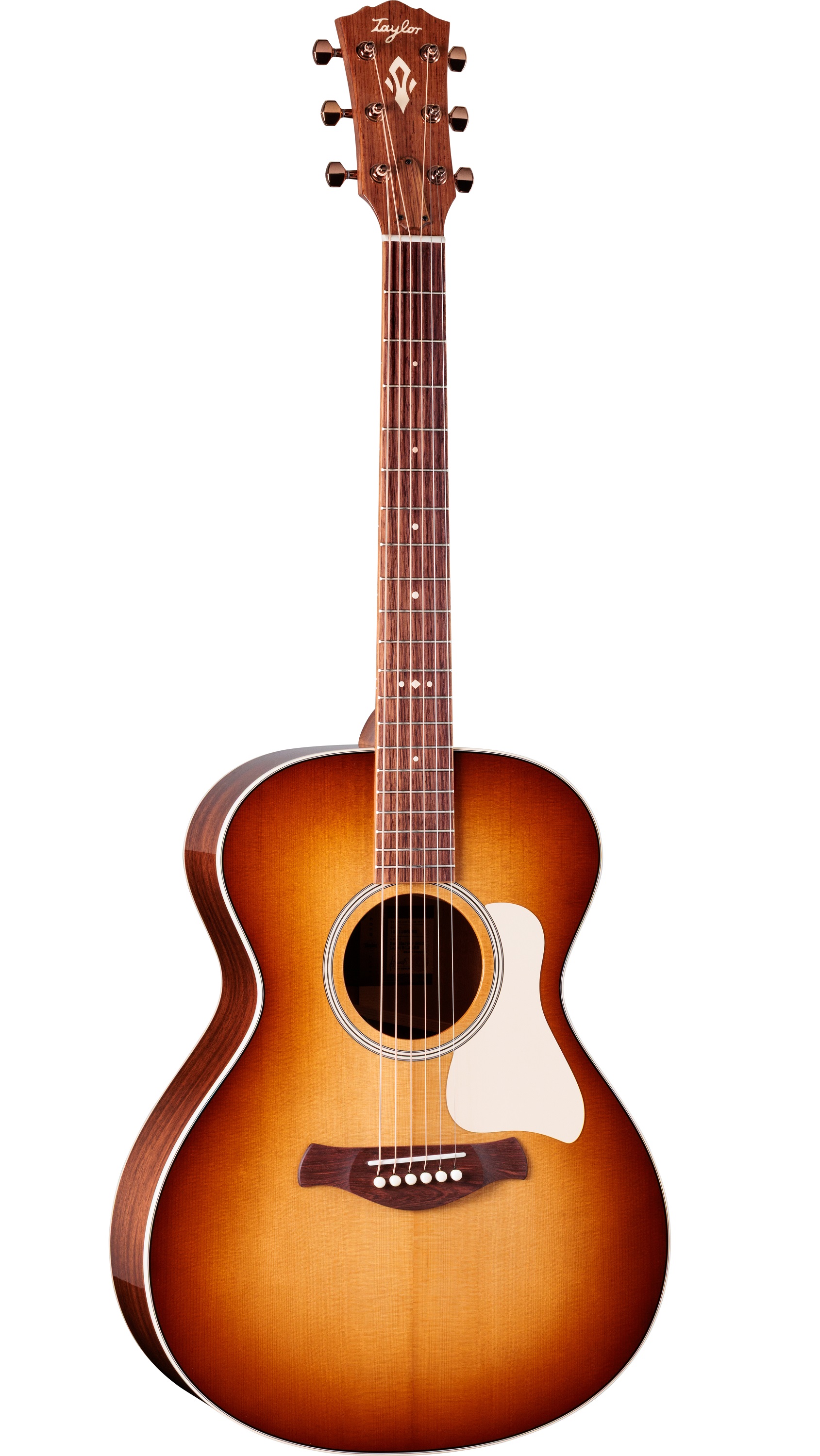 Ben Harper Gold Label 512e