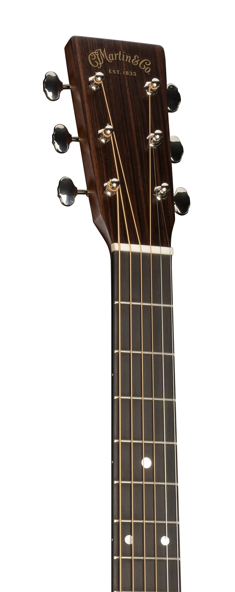 D-16E-01 Westerngitarre