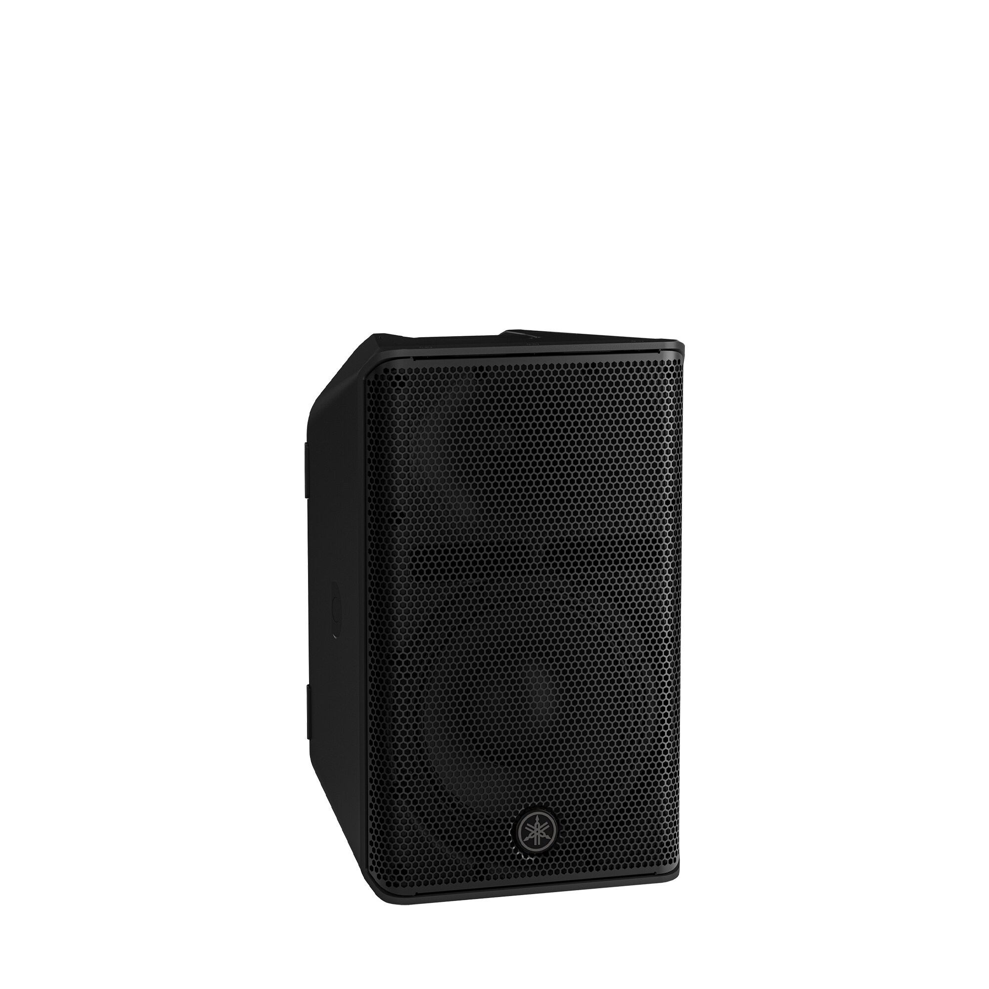 CXR10 MKIII Passive PA Speaker 
