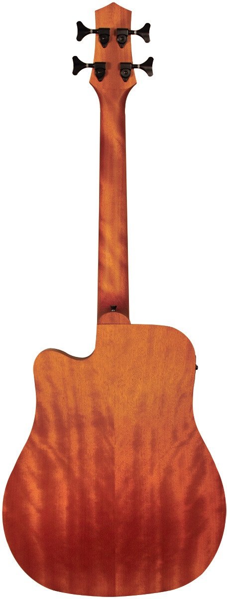 Micro-Bass 25