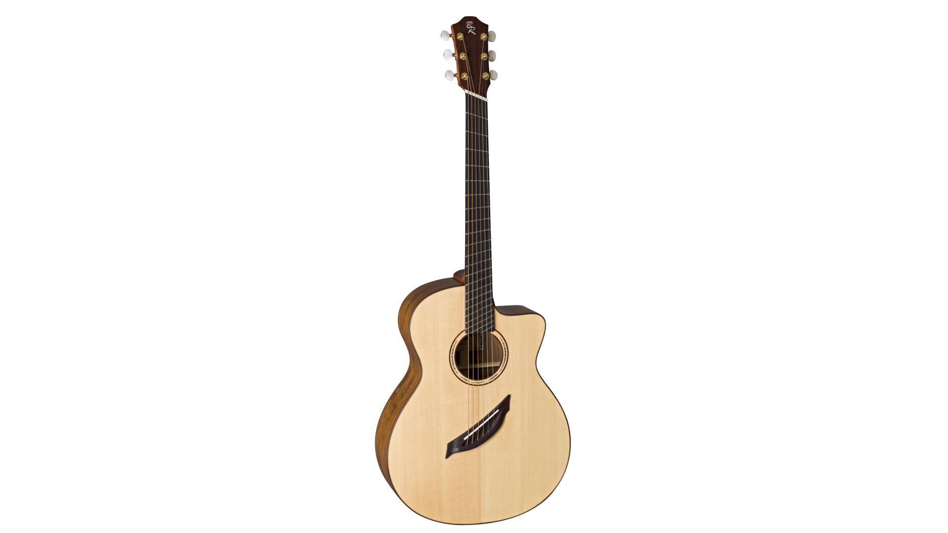 AR31S / JC-AM Alex Misko mit Fishman Rare Earth Mic Blend