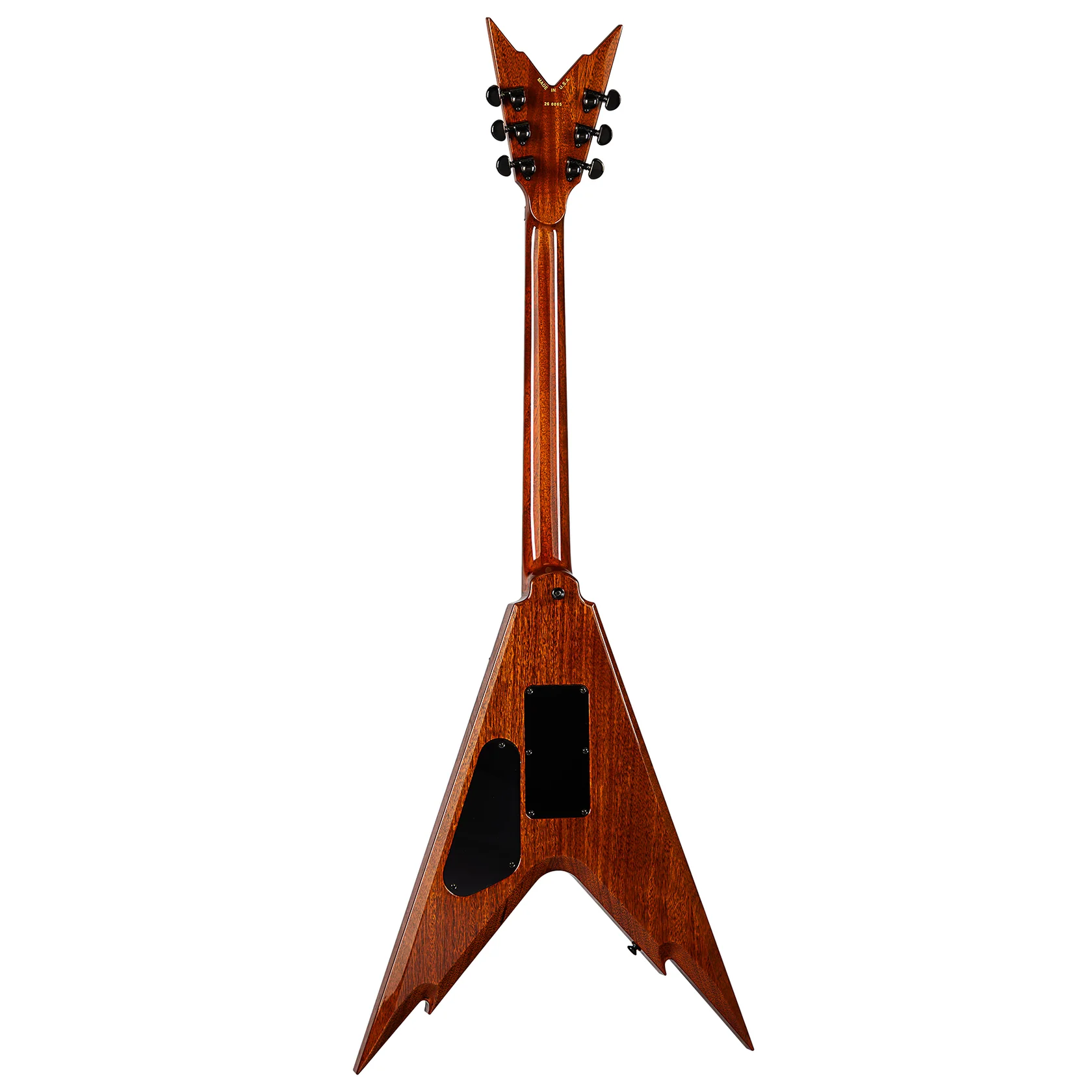 USA Razorback V Floyd Flame Top E-Gitarre