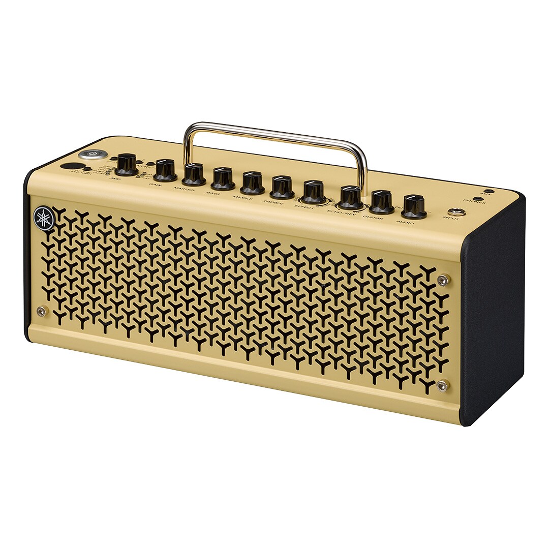 Gitarrenverstärker, tragbarer Combo-Verstärker, goldfarben, Metallgitter, Tragegriff