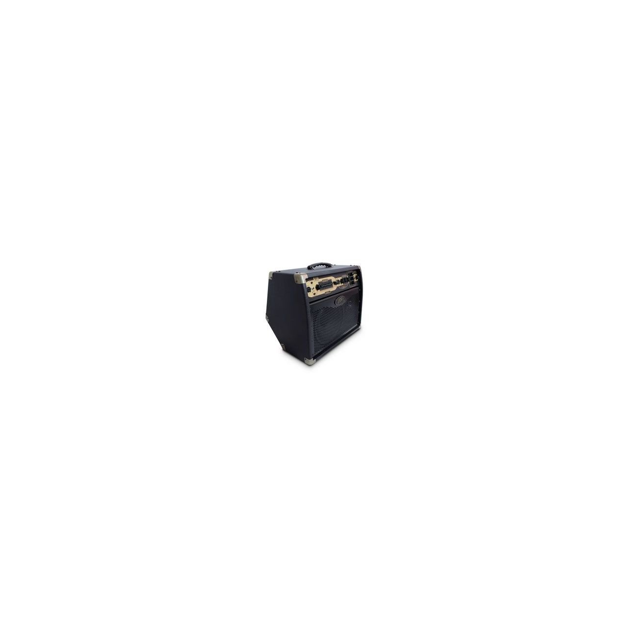 Akustikcombo Ecoustic E110, 100 Watt, 1x10''+Tweeter,