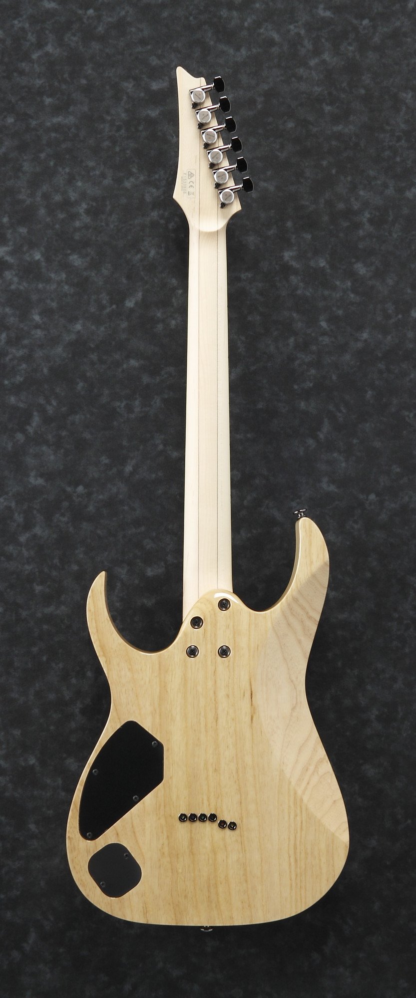 RG-Prestige E-Gitarre 6 String - Nebula Green Burst