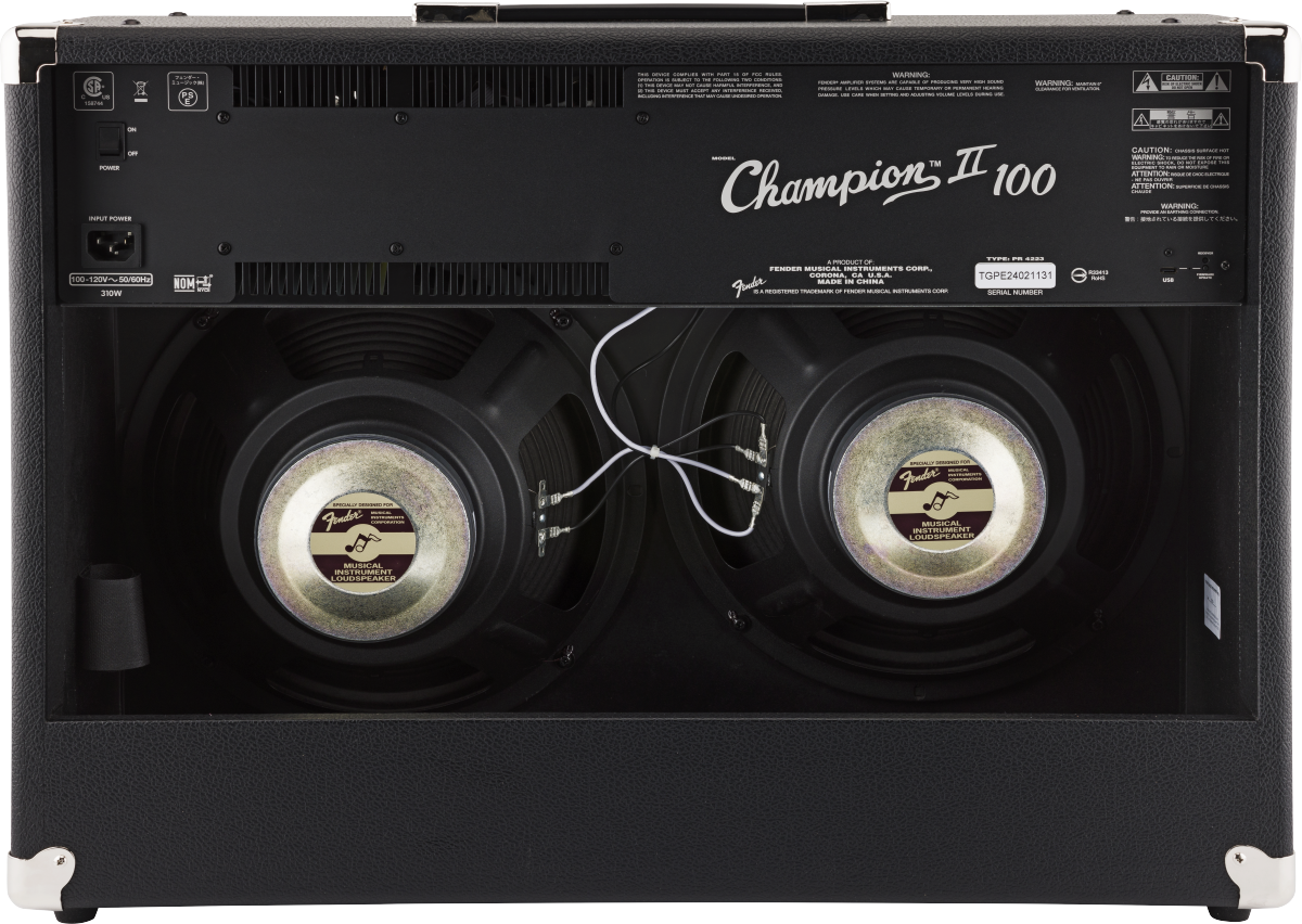 Champion II  100