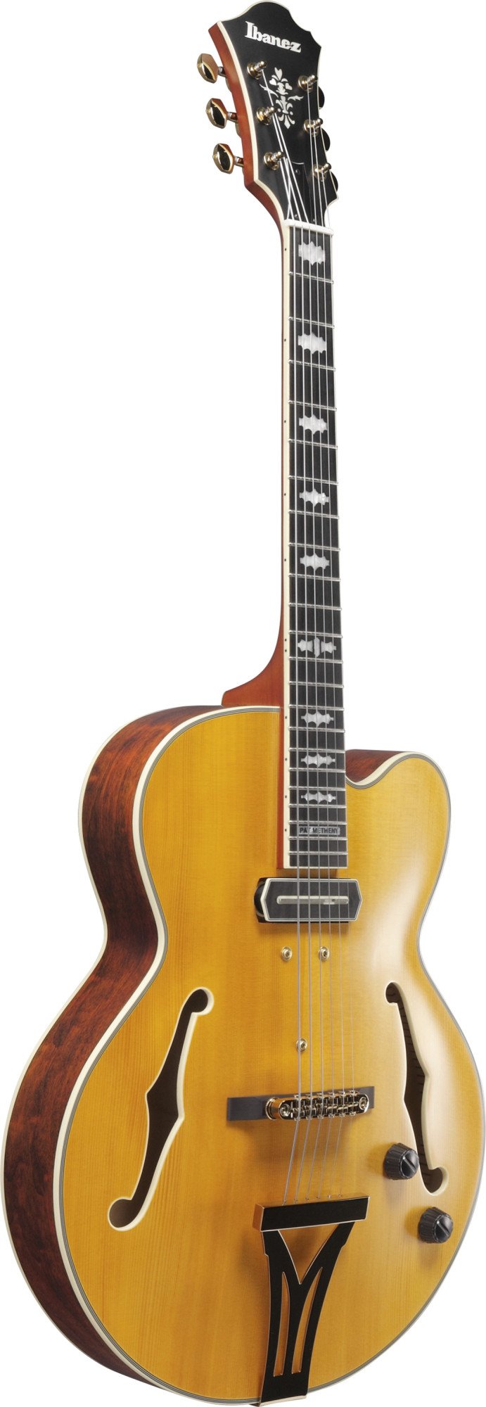 Signature PM3C-NAL Pat Metheny E-Gitarre 