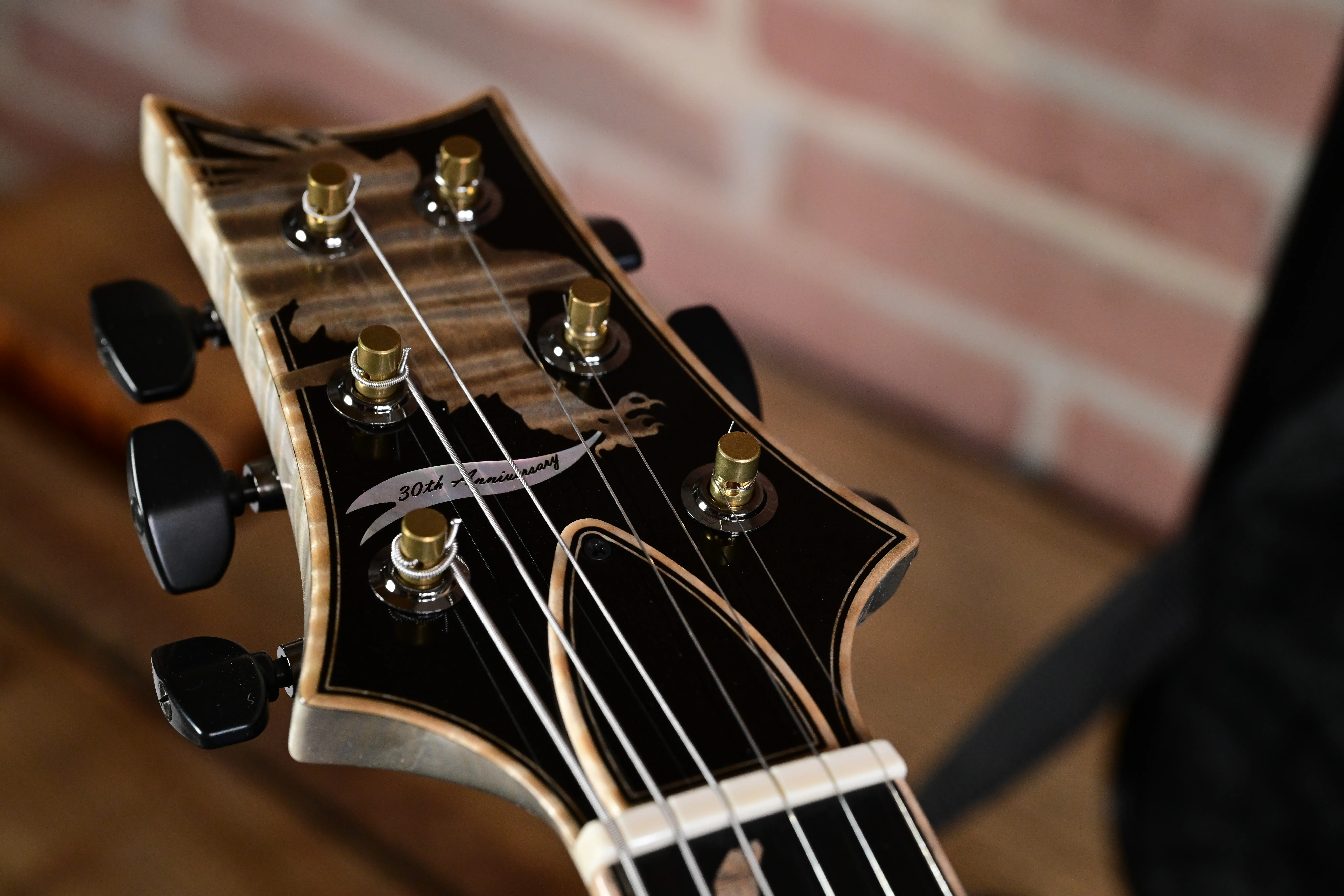 Private Stock 30th Anniversary Birds of a Feather Hollowbody Frostbite Glow