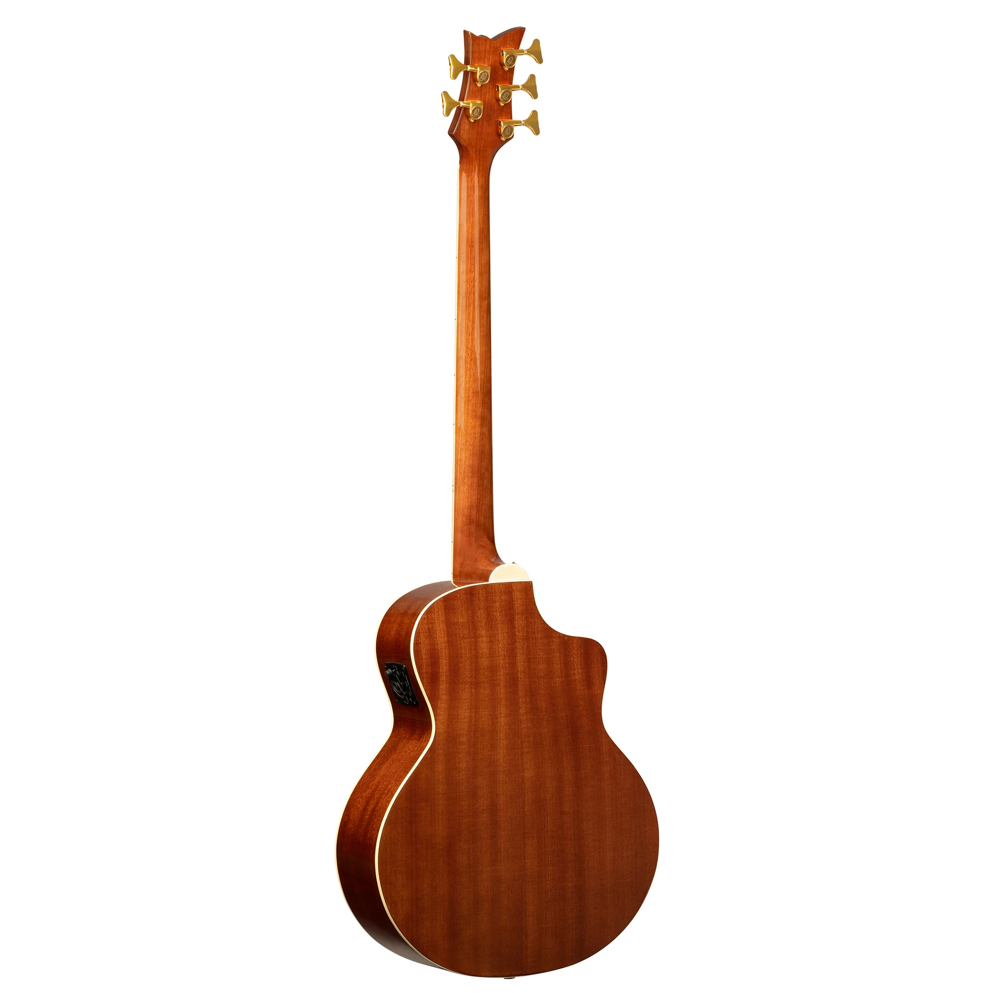 D8CE-5-L 5-Saiter Akustikbass Lefhand