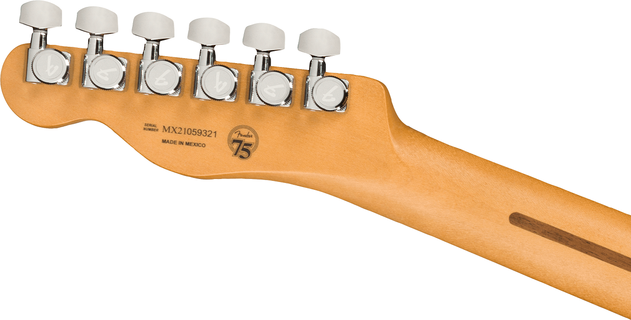 Player Plus Nashville Telecaster Butterscotch Blonde