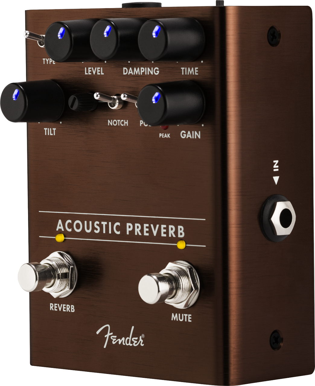 Acoustic Preamp/Reverb
