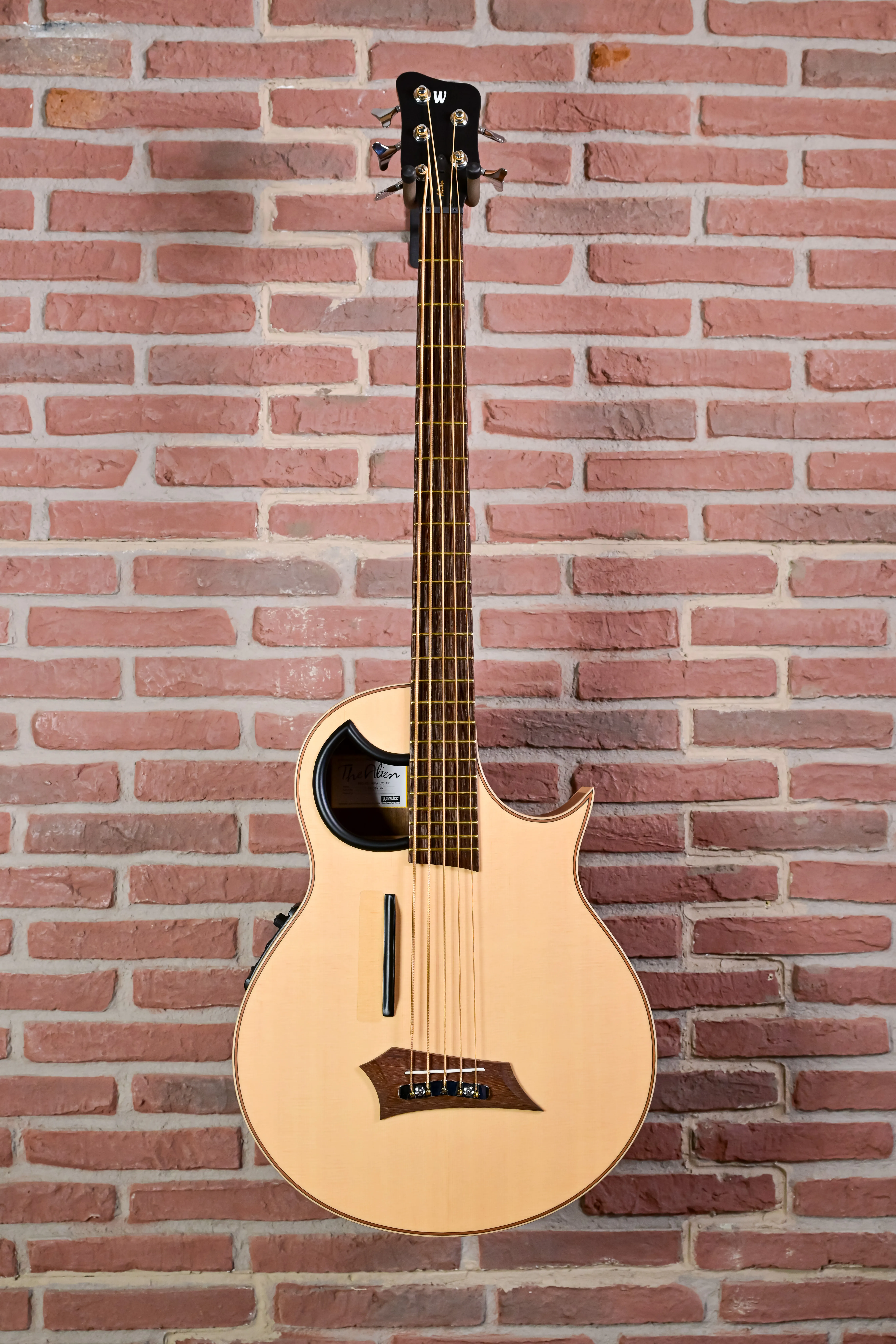 Alien 5 Natural 5-String Acoustic Bass Fretted (B-Stock)