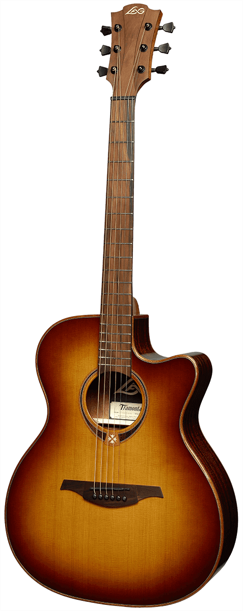 T118ACE Auditorium Cutaway mit Preamp Brown Shadow