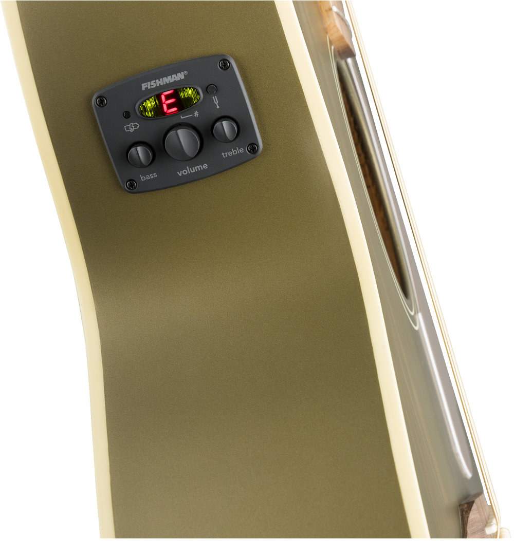Newporter Player, Walnut Fingerboard, Olive Satin