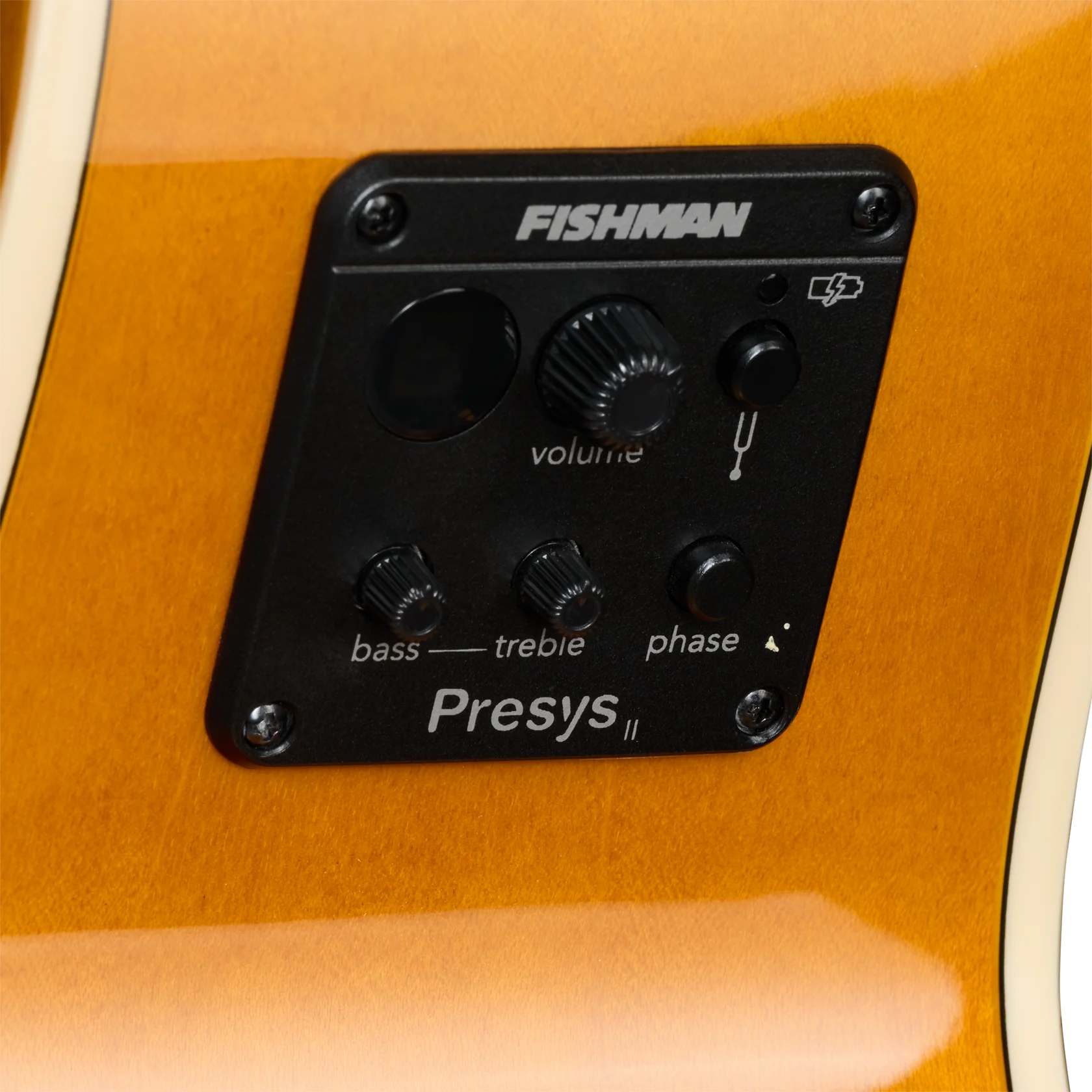 J-200 Studio EC Antique Natural