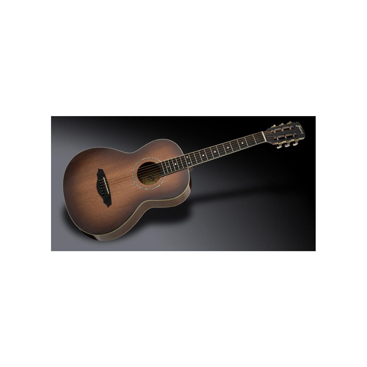 FP 14 M Parlor - Vintage Sunburst Mahogany 