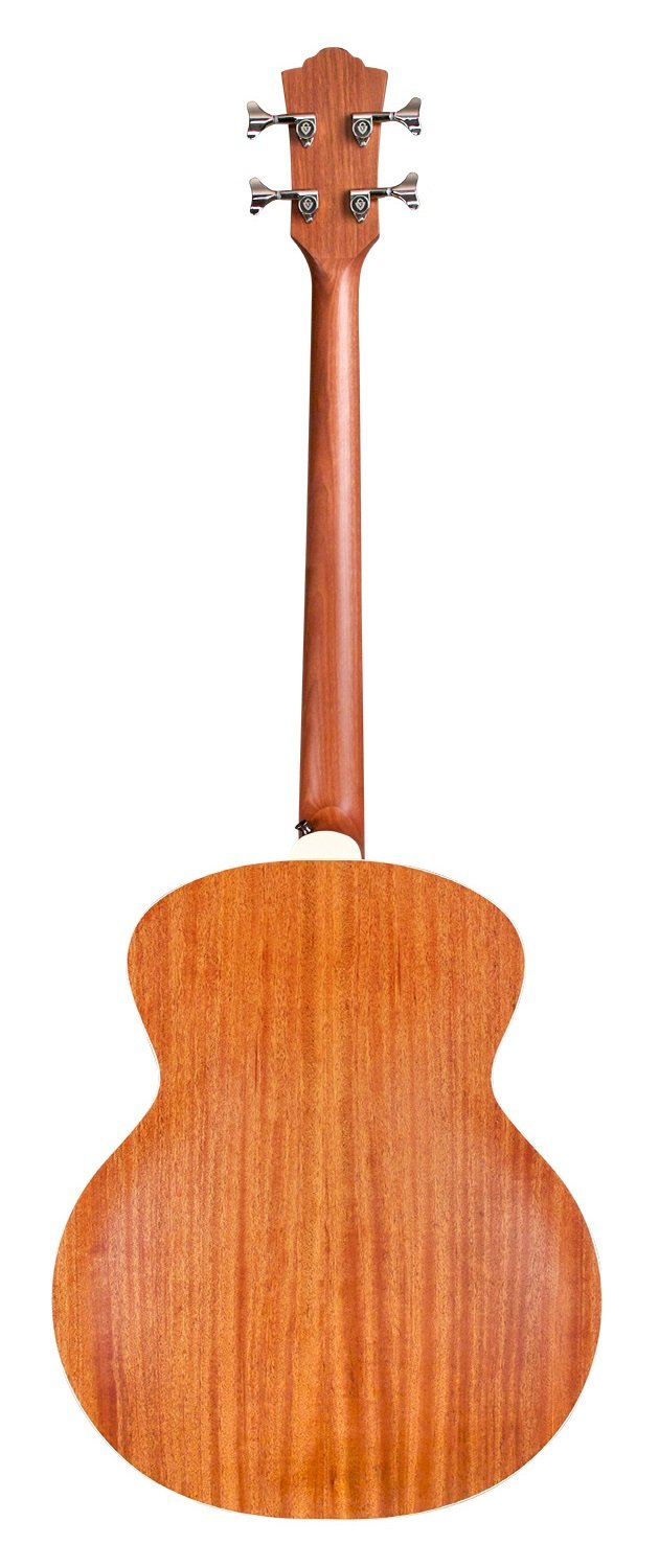 B-240E Fretless Archback NAT
