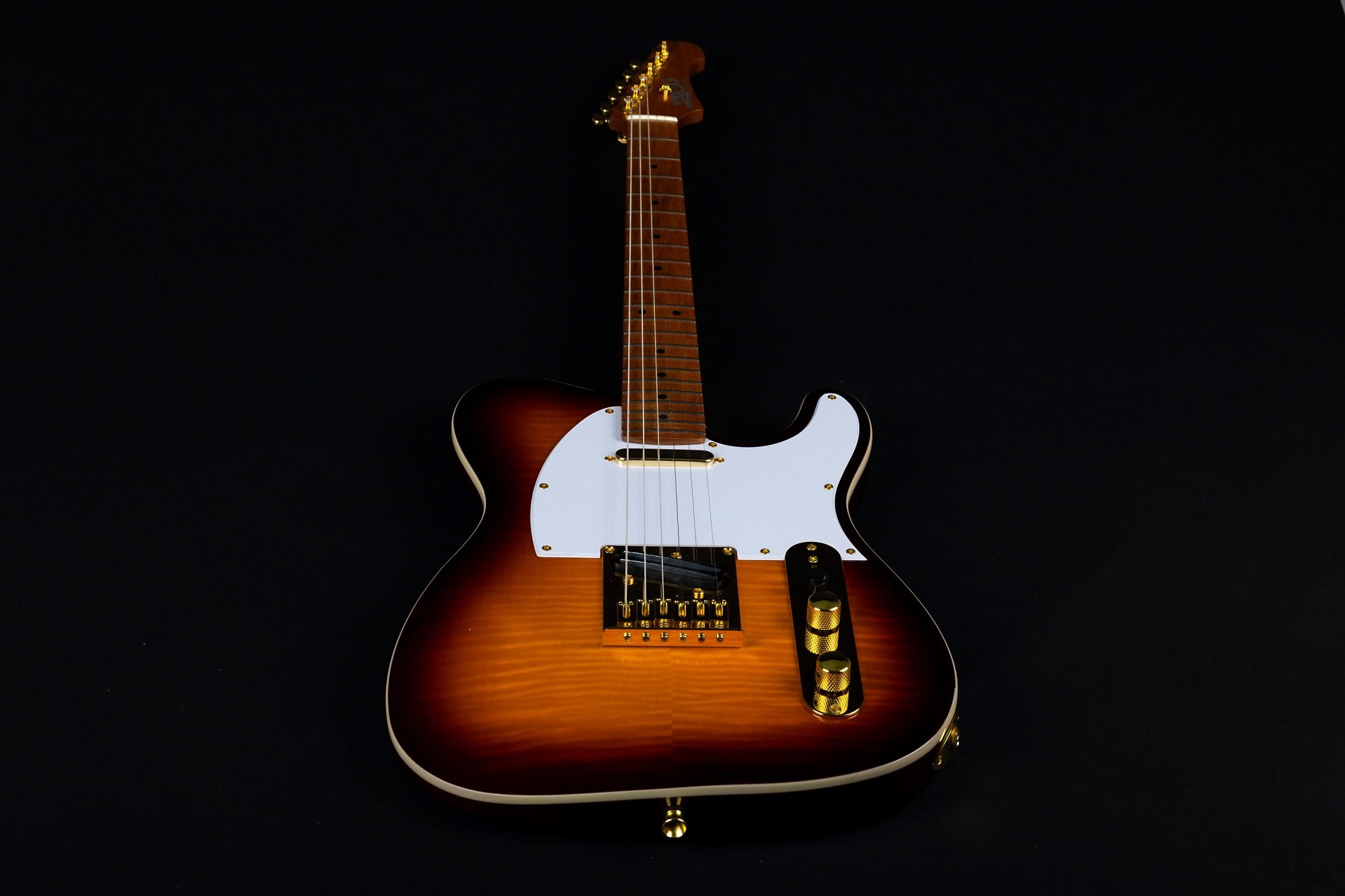 JT-600 BS G Brown Sunburst E-Gitarre