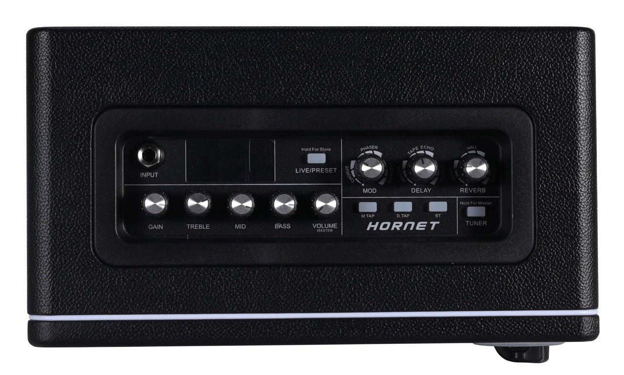 Hornet Black 30W Modeling Amp